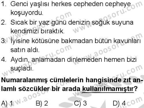 Türkçe 5 Dersi 2024-2025 yılı 1. Dönem sınavı 1. Soru Türkçe 5 Dersi 2024-2025 yılı 1. Dönem sınavı 1. Soru