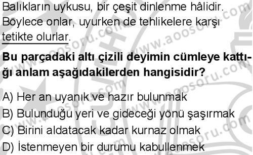 Türkçe 5 Dersi 2024-2025 yılı 1. Dönem sınavı 2. Soru Türkçe 5 Dersi 2024-2025 yılı 1. Dönem sınavı 2. Soru