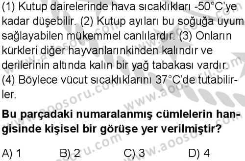 Türkçe 5 Dersi 2024-2025 yılı 1. Dönem sınavı 3. Soru Türkçe 5 Dersi 2024-2025 yılı 1. Dönem sınavı 3. Soru
