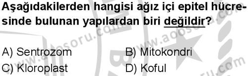 Fen Bilimleri 5 Dersi 2024-2025 yılı 1. Dönem sınavı 9. Soru Fen Bilimleri 5 Dersi 2024-2025 yılı 1. Dönem sınavı 9. Soru