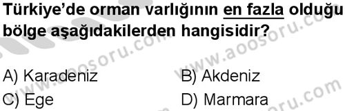 Sosyal Bilgiler 6 Dersi 2024-2025 yılı 1. Dönem sınavı 8. Soru Sosyal Bilgiler 6 Dersi 2024-2025 yılı 1. Dönem sınavı 8. Soru