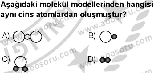Fen Bilimleri 7 Dersi 2024-2025 yılı 1. Dönem sınavı 7. Soru Fen Bilimleri 7 Dersi 2024-2025 yılı 1. Dönem sınavı 7. Soru