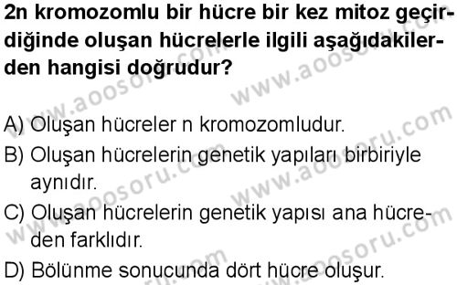 Fen Bilimleri 7 Dersi 2024-2025 yılı 1. Dönem sınavı 9. Soru Fen Bilimleri 7 Dersi 2024-2025 yılı 1. Dönem sınavı 9. Soru