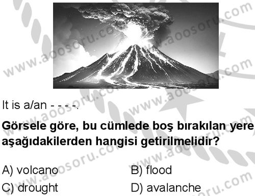 İngilizce 8 Dersi 2024-2025 yılı 1. Dönem sınavı 10. Soru İngilizce 8 Dersi 2024-2025 yılı 1. Dönem sınavı 10. Soru