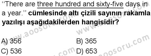İngilizce 5 Dersi 2024-2025 yılı 1. Dönem sınavı 9. Soru İngilizce 5 Dersi 2024-2025 yılı 1. Dönem sınavı 9. Soru