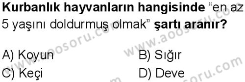 Din Kültürü ve Ahlak Bilgisi 7 Dersi 2024-2025 yılı 1. Dönem sınavı 10. Soru Din Kültürü ve Ahlak Bilgisi 7 Dersi 2024-2025 yılı 1. Dönem sınavı 10. Soru