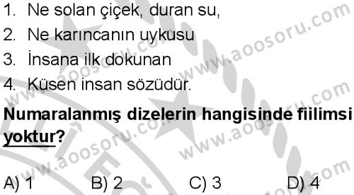 Türkçe 8 Dersi 2024-2025 yılı 1. Dönem sınavı 8. Soru Türkçe 8 Dersi 2024-2025 yılı 1. Dönem sınavı 8. Soru