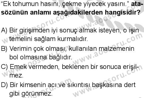 Türkçe 5 Dersi 2024-2025 yılı 2. Dönem sınavı 3. Soru Türkçe 5 Dersi 2024-2025 yılı 2. Dönem sınavı 3. Soru