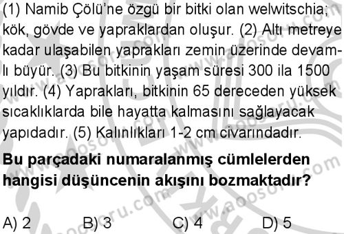 Türkçe 5 Dersi 2024-2025 yılı 2. Dönem sınavı 9. Soru Türkçe 5 Dersi 2024-2025 yılı 2. Dönem sınavı 9. Soru