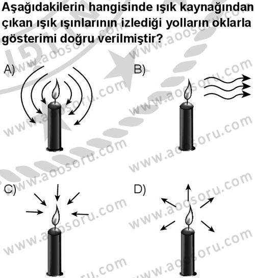 Fen Bilimleri 5 Dersi 2024-2025 yılı 2. Dönem sınavı 5. Soru Fen Bilimleri 5 Dersi 2024-2025 yılı 2. Dönem sınavı 5. Soru