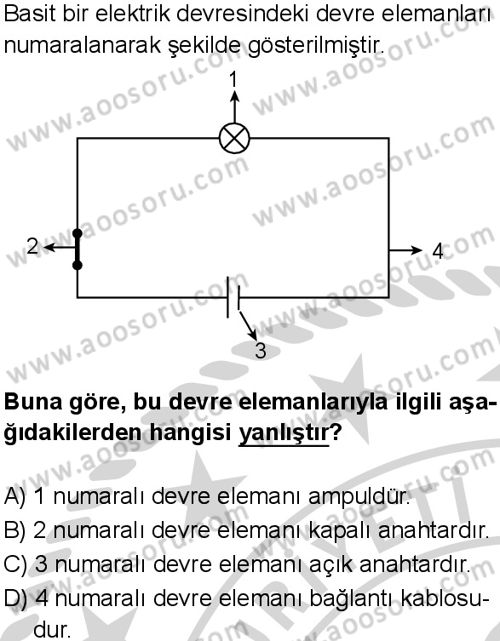 Fen Bilimleri 5 Dersi 2024-2025 yılı 2. Dönem sınavı 6. Soru Fen Bilimleri 5 Dersi 2024-2025 yılı 2. Dönem sınavı 6. Soru