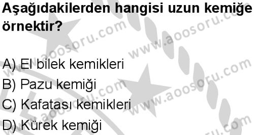 Fen Bilimleri 5 Dersi 2024-2025 yılı 2. Dönem sınavı 9. Soru Fen Bilimleri 5 Dersi 2024-2025 yılı 2. Dönem sınavı 9. Soru