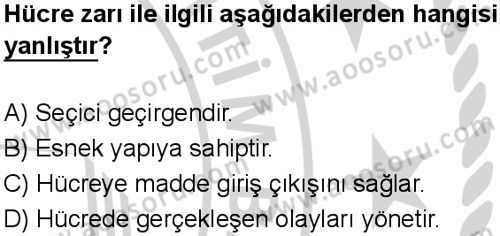 Fen Bilimleri 5 Dersi 2024-2025 yılı 2. Dönem sınavı 10. Soru Fen Bilimleri 5 Dersi 2024-2025 yılı 2. Dönem sınavı 10. Soru