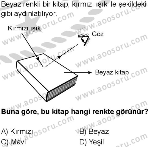 Fen Bilimleri 7 Dersi 2024-2025 yılı 2. Dönem sınavı 4. Soru Fen Bilimleri 7 Dersi 2024-2025 yılı 2. Dönem sınavı 4. Soru