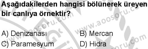 Fen Bilimleri 7 Dersi 2024-2025 yılı 2. Dönem sınavı 10. Soru Fen Bilimleri 7 Dersi 2024-2025 yılı 2. Dönem sınavı 10. Soru