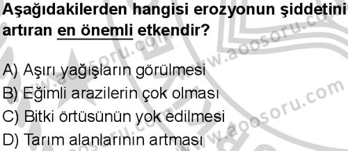 Sosyal Bilgiler 5 Dersi 2024-2025 yılı 2. Dönem sınavı 3. Soru Sosyal Bilgiler 5 Dersi 2024-2025 yılı 2. Dönem sınavı 3. Soru