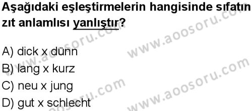 Almanca 5 Dersi 2024-2025 yılı 2. Dönem sınavı 8. Soru Almanca 5 Dersi 2024-2025 yılı 2. Dönem sınavı 8. Soru
