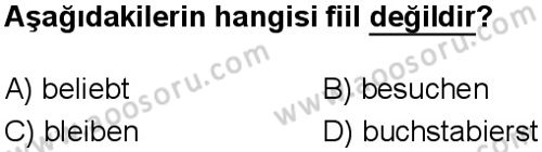 Almanca 5 Dersi 2024-2025 yılı 2. Dönem sınavı 9. Soru Almanca 5 Dersi 2024-2025 yılı 2. Dönem sınavı 9. Soru