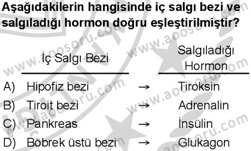 Fen Bilimleri 6 Dersi 2024-2025 yılı 2. Dönem sınavı 8. Soru Fen Bilimleri 6 Dersi 2024-2025 yılı 2. Dönem sınavı 8. Soru
