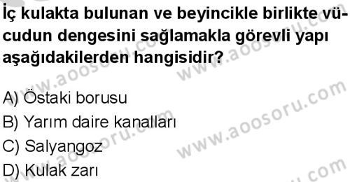 Fen Bilimleri 6 Dersi 2024-2025 yılı 2. Dönem sınavı 9. Soru Fen Bilimleri 6 Dersi 2024-2025 yılı 2. Dönem sınavı 9. Soru