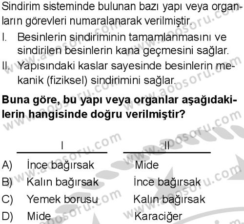 Fen Bilimleri 6 Dersi 2024-2025 yılı 2. Dönem sınavı 10. Soru Fen Bilimleri 6 Dersi 2024-2025 yılı 2. Dönem sınavı 10. Soru