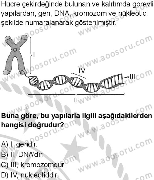 Fen Bilimleri 8 Dersi 2024-2025 yılı 2. Dönem sınavı 9. Soru Fen Bilimleri 8 Dersi 2024-2025 yılı 2. Dönem sınavı 9. Soru