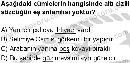 Türkçe 5 Dersi 2024-2025 yılı 3. Dönem sınavı 1. Soru