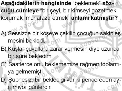 Türkçe 5 Dersi 2024-2025 yılı 3. Dönem sınavı 2. Soru