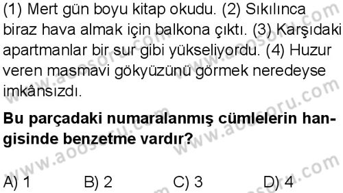 Türkçe 5 Dersi 2024-2025 yılı 3. Dönem sınavı 3. Soru