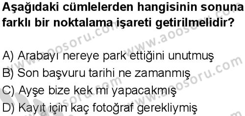 Türkçe 5 Dersi 2024-2025 yılı 3. Dönem sınavı 4. Soru