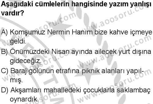 Türkçe 5 Dersi 2024-2025 yılı 3. Dönem sınavı 5. Soru
