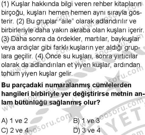 Türkçe 5 Dersi 2024-2025 yılı 3. Dönem sınavı 8. Soru