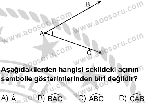 Matematik 5 Dersi 2024-2025 yılı 3. Dönem sınavı 1. Soru