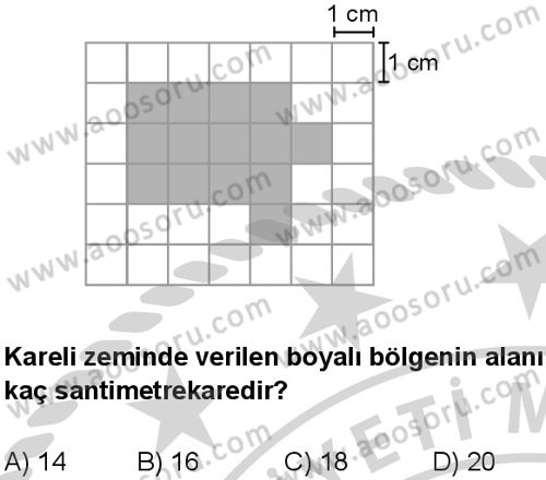 Matematik 5 Dersi 2024-2025 yılı 3. Dönem sınavı 5. Soru