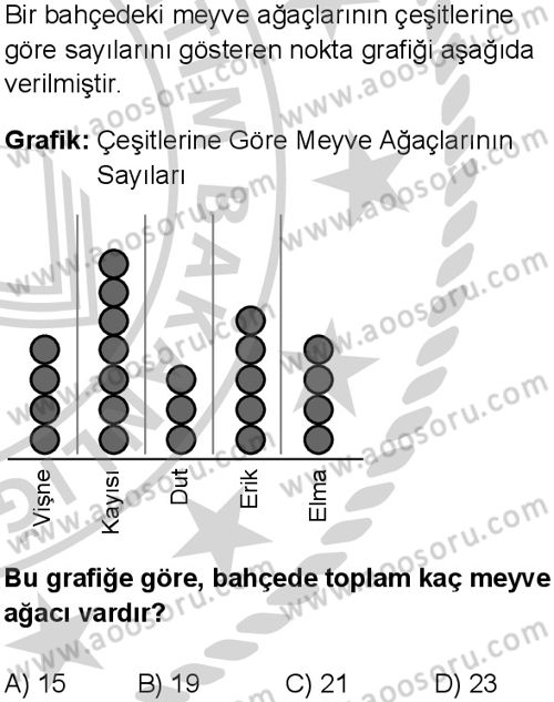 Matematik 5 Dersi 2024-2025 yılı 3. Dönem sınavı 10. Soru
