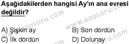 Fen Bilimleri 5 Dersi 2024-2025 yılı 3. Dönem sınavı 1. Soru