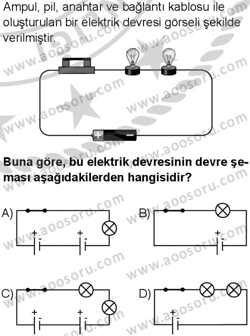 Fen Bilimleri 5 Dersi 2024-2025 yılı 3. Dönem sınavı 6. Soru