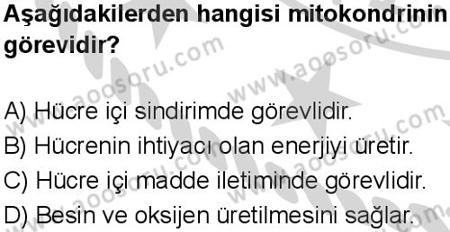 Fen Bilimleri 5 Dersi 2024-2025 yılı 3. Dönem sınavı 9. Soru