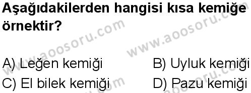 Fen Bilimleri 5 Dersi 2024-2025 yılı 3. Dönem sınavı 10. Soru