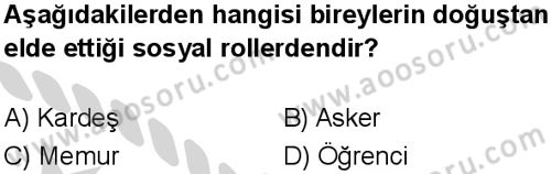 Sosyal Bilgiler 6 Dersi 2024-2025 yılı 3. Dönem sınavı 1. Soru