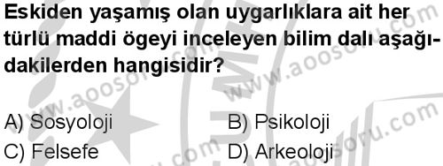 Sosyal Bilgiler 6 Dersi 2024-2025 yılı 3. Dönem sınavı 6. Soru