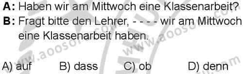 Almanca 6 Dersi 2024-2025 yılı 3. Dönem sınavı 2. Soru