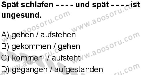 Almanca 6 Dersi 2024-2025 yılı 3. Dönem sınavı 6. Soru