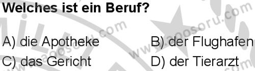 Almanca 6 Dersi 2024-2025 yılı 3. Dönem sınavı 7. Soru