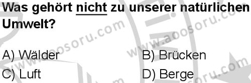 Almanca 6 Dersi 2024-2025 yılı 3. Dönem sınavı 8. Soru