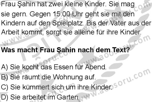 Almanca 6 Dersi 2024-2025 yılı 3. Dönem sınavı 9. Soru