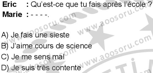 Fransızca 6 Dersi 2024-2025 yılı 3. Dönem sınavı 1. Soru