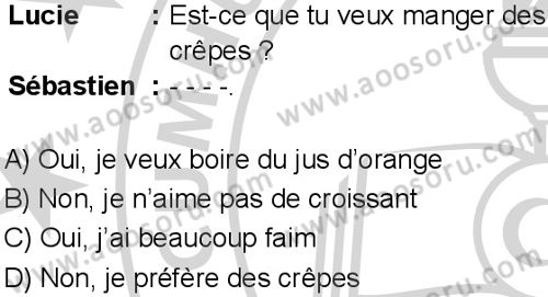 Fransızca 6 Dersi 2024-2025 yılı 3. Dönem sınavı 2. Soru