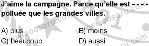 Fransızca 6 Dersi 2024-2025 yılı 3. Dönem sınavı 3. Soru