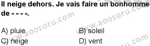 Fransızca 6 Dersi 2024-2025 yılı 3. Dönem sınavı 4. Soru